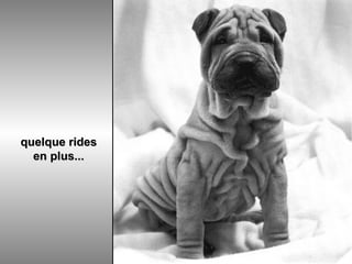 quelque rides en plus... 