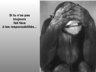 Si tu n’as pas toujours fait face à tes responsabilités... 