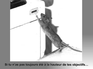 Si tu n’as pas toujours été à la hauteur de tes objectifs… 