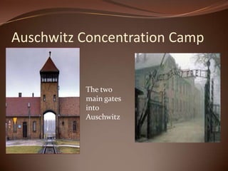 Auschwitz Concentration CampThe two main gates into Auschwitz