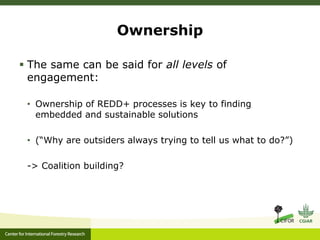 A multilevel governance perspective on REDD+