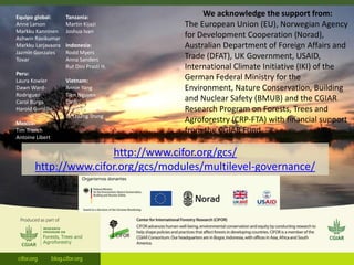 A multilevel governance perspective on REDD+