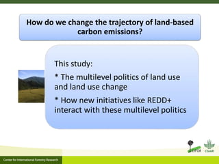 A multilevel governance perspective on REDD+