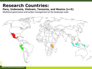 A multilevel governance perspective on REDD+