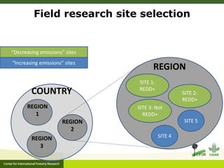 A multilevel governance perspective on REDD+