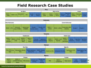 A multilevel governance perspective on REDD+