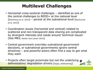 A multilevel governance perspective on REDD+