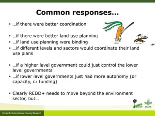 A multilevel governance perspective on REDD+