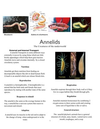 Education Newsletter


Bloodworm                         Outline of a Earthworm




                                              Annelids
                                      The Creatures of the underworld
      External and Internal Transport
        A annelid Transports in some different ways
externally it moves by using Setae which are little
bristle appendages which help them gain traction.
Annelids move and circulate internally by a closed
circulatory system.

                     Nutrition

Annelids get there nutrition from feeding on
decomposable objects like dirt or dead human flesh.
A leach is an annelid which can release blood clots.

                   Reproduction

A annelid is a hermaphrodite. A hermaphrodite is a                                 Respiration
animal that has both male and female that must
reproduces by mating with another mate of the same             Annelids respirate through there body wall or if they
species.                                                         live in a aqua habitat they breath through gills.

               Responses to stimuli                                                 Regulation

The annelid is the same as the average human in this             Annelids maintain homeostasis by combining 2
way, a annelid has a nervous system that reacts to               oxygen atoms to there amino acids and creating
movement and stimuli.                                               some sort of liquid that is like or saliva.

                     Adaption                                                   General structure

A annelid uses its muscles in the tail end to adapt to             The annelid phylum's animals have a general
 the change of temp. when underground or in the                structure of a brain, anus, hearts, ventral nerve cord,
                      water.                                              mouth, esophagus, and a crop.
                                                           1
 