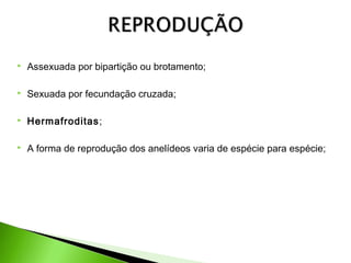 

Assexuada por bipartição ou brotamento;



Sexuada por fecundação cruzada;



Hermafroditas;



A forma de reprodução dos anelídeos varia de espécie para espécie;

 