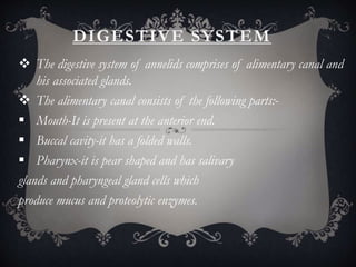 DIGESTIVE SYSTEM
 The digestive system of annelids comprises of alimentary canal and
his associated glands.
 The alimentary canal consists of the following parts:-
 Mouth-It is present at the anterior end.
 Buccal cavity-it has a folded walls.
 Pharynx-it is pear shaped and has salivary
glands and pharyngeal gland cells which
produce mucus and proteolytic enzymes.
 