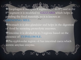 Esophagus-it occupies 4 segments(5th to 8th) and in the
8th segment it is modified to GIZZARD which helps in
grinding the food materials, so it is known as
GRINDING MILL.
Stomach-it is also glandular and helps in the digestion
of food by secreting proteolytic enzymes.
Intestine-it is divided in to 3 regions based on the
presence of TYPHLOSOLE.
Pre-typhlosolar region –it has intestinal caeca which
secrete amylase enzyme.
 
