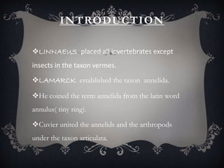 INTRODUCTION
LINNAEUS placed all invertebrates except
insects in the taxon vermes.
LAMARCK established the taxon annelida.
He coined the term annelida from the latin word
annulus( tiny ring).
Cuvier united the annelids and the arthropods
under the taxon articulata.
 