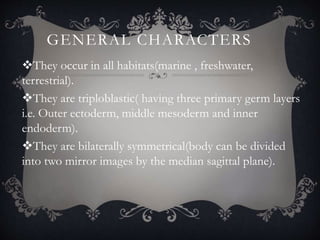 GENERAL CHARACTERS
They occur in all habitats(marine , freshwater,
terrestrial).
They are triploblastic( having three primary germ layers
i.e. Outer ectoderm, middle mesoderm and inner
endoderm).
They are bilaterally symmetrical(body can be divided
into two mirror images by the median sagittal plane).
 