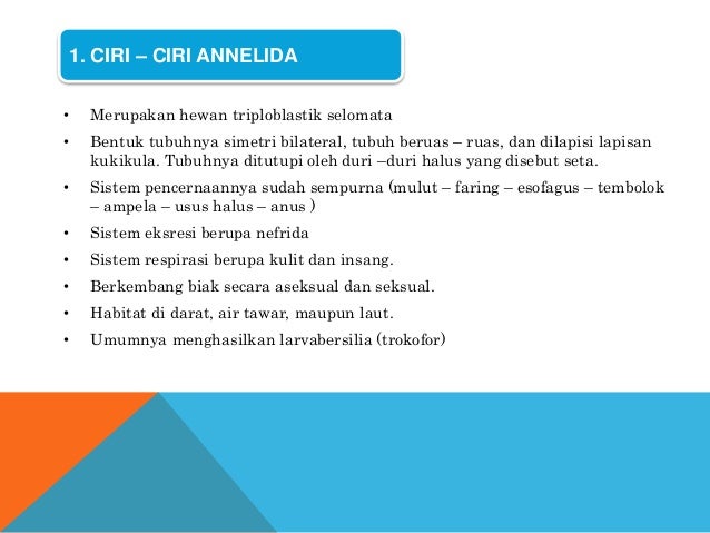 Annelida Annelida