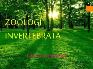 ZOOLOGI
INVERTEBRATA
FILUM ANNELIDA
 