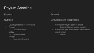 Errantia Label Annelida | PPTX