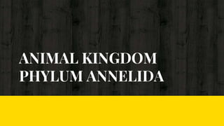 ANIMAL KINGDOM
PHYLUM ANNELIDA
 