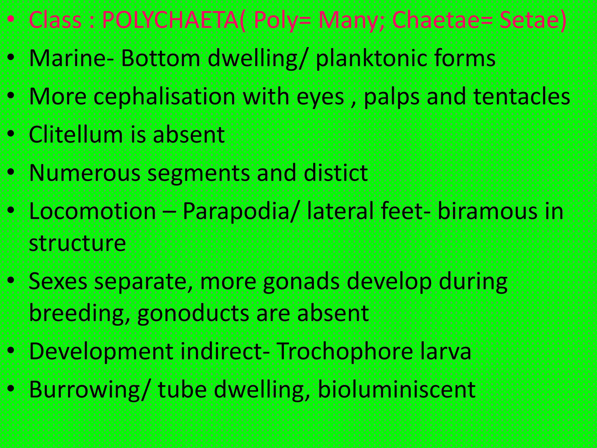 Annelida- General Characters and classification | PPTX
