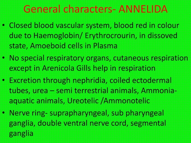 Annelida- General Characters and classification | PPTX | Biological ...