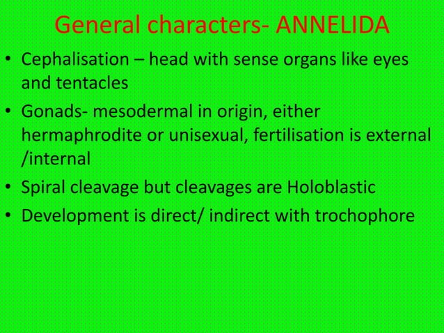 Annelida- General Characters and classification | PPTX | Biological ...