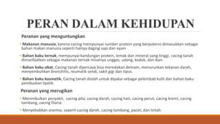 PERAN DALAM KEHIDUPAN
Peranan yang menguntungkan
• Makanan manusia, karena cacing mempunyai sumber protein yang berpotensi dimasukkan sebagai
bahan makan manusia seperti halnya daging sapi dan ayam
• Bahan baku ternak, mempunyai kandungan protein, lemak dan mineral yang tinggi, cacing tanah
dimanfaatkan sebagai makanan ternak misalnya unggas, udang, kodok, dan ikan.
• Bahan baku obat, Cacing tanah dipercaya bisa meredakan demam, menurunkan tekanan darah,
menyembuhkan bronchitis, reumatik sendi, sakit gigi dan tipus.
• Bahan baku kosmetik, Cacing tanah diolah untuk dipakai sebagai pelembab kulit dan bahan baku
pembuatan lipstik.
Peranan yang merugikan
• Menimbulkan penyakit, cacing pita, cacing darah, cacing hati, cacing perut, cacing kremi, cacing
tambang, cacing filaria.
• Menyebabkan anemia, seperti cacing darah, cacing tambang, pacet, dan lintah.
 