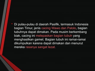 • Di pulau-pulau di daerah Pasifik, termasuk Indonesia
bagian Timur, jenis cacing Wawo dan Palolo, bagian
tubuhnya dapat dimakan. Pada musim berkembang
biak, cacing ini melepaskan bagian tubuh yang
menghasilkan gamet. Bagian tubuh ini ramai-ramai
dikumpulkan karena dapat dimakan dan menurut
mereka rasanya sangat lezat.
 