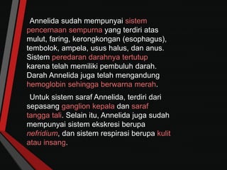 Annelida sudah mempunyai sistem
pencernaan sempurna yang terdiri atas
mulut, faring, kerongkongan (esophagus),
tembolok, ampela, usus halus, dan anus.
Sistem peredaran darahnya tertutup
karena telah memiliki pembuluh darah.
Darah Annelida juga telah mengandung
hemoglobin sehingga berwarna merah.
Untuk sistem saraf Annelida, terdiri dari
sepasang ganglion kepala dan saraf
tangga tali. Selain itu, Annelida juga sudah
mempunyai sistem ekskresi berupa
nefridium, dan sistem respirasi berupa kulit
atau insang.
 