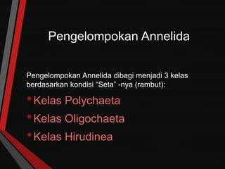 Pengelompokan Annelida
Pengelompokan Annelida dibagi menjadi 3 kelas
berdasarkan kondisi “Seta” -nya (rambut):
•Kelas Polychaeta
•Kelas Oligochaeta
•Kelas Hirudinea
 