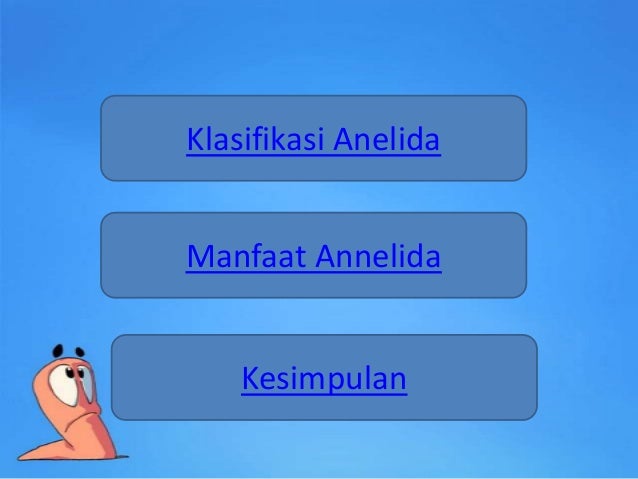 Annelidapresentation 130106034157-phpapp02