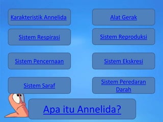 Karakteristik Annelida      Alat Gerak


   Sistem Respirasi      Sistem Reproduksi


 Sistem Pencernaan        Sistem Ekskresi


                         Sistem Peredaran
     Sistem Saraf
                               Darah


            Apa itu Annelida?
 