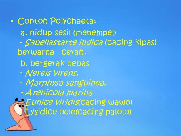 PPT ANNELIDA