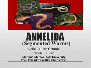 ANNELIDA 
(Segmented Worms) 
Nolie Calidro Gerardo 
Nicole Calidro 
Mariano Marcos State University 
COLLEGE OF TEACHER EDUCATION 
 