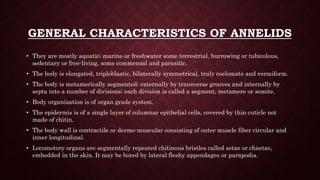 ANNELIDS.pptx by Simoni Singhal PhD Research Scholar | PPTX