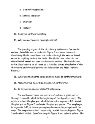 a. Seminal receptacles?
b. Seminal vesicles?
c. Ovaries?
d. Testes?
13. Describe earthworm mating.
14. Why are earthworms hermaphrodites?
The pumping organs of the circulatory system are five aortic
arches. Label the aortic arches in Figure 3 and color them red.
Circulatory fluids travel from the arches through the ventral blood
vessel to capillary beds in the body. The fluids then collect in the
dorsal blood vessel and reenter the aortic arches. The blood stays
within blood vessels at all times so it is called closed circulation. Color
the ventral and dorsal blood vessels light green and label them on
Figure 3.
15. What are the hearts called and how many do earthworms have?
16. Name the two major blood vessels in earthworms.
17. Is circulation open or closed? Explain why.
The earthworm takes in a mixture of soil and organic matter
through its mouth, which is the beginning of the digestive tract. The
mixture enters the pharynx, which is located in segments 1–6. Label
the pharynx on Figure 3 and color the pharynx purple. The esophagus,
in segments 6–13, acts as a passageway between the pharynx and the
crop. The crop stores food temporarily. Label the esophagus in Figure
3 and color it violet. Label the crop in Figure 3 and color it yellow. The
3
 