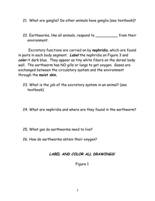21. What are ganglia? Do other animals have ganglia (see textbook)?
22. Earthworms, like all animals, respond to __________ from their
environment.
Excretory functions are carried on by nephridia, which are found
in pairs in each body segment. Label the nephridia on Figure 3 and
color it dark blue. They appear as tiny white fibers on the dorsal body
wall. The earthworm has NO gills or lungs to get oxygen. Gases are
exchanged between the circulatory system and the environment
through the moist skin.
23. What is the job of the excretory system in an animal? (see
textbook)
24. What are nephridia and where are they found in the earthworm?
25. What gas do earthworms need to live?
26. How do earthworms obtain their oxygen?
LABEL AND COLOR ALL DRAWINGS!
Figure 1
5
 