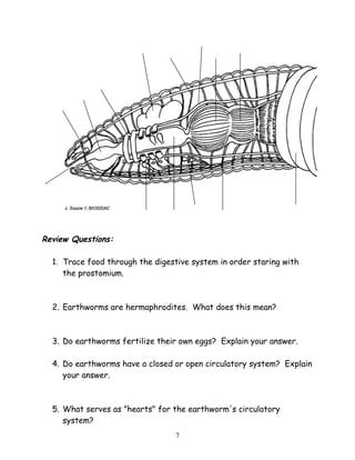 Review Questions:
1. Trace food through the digestive system in order staring with
the prostomium.
2. Earthworms are hermaphrodites. What does this mean?
3. Do earthworms fertilize their own eggs? Explain your answer.
4. Do earthworms have a closed or open circulatory system? Explain
your answer.
5. What serves as "hearts" for the earthworm's circulatory
system?
7
 