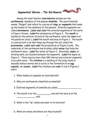Annelids the earthworm revised | PDF Annelids the earthworm revised | PDF