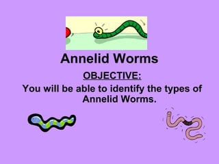 Annelid Worms
OBJECTIVE:
You will be able to identify the types of
Annelid Worms.
 