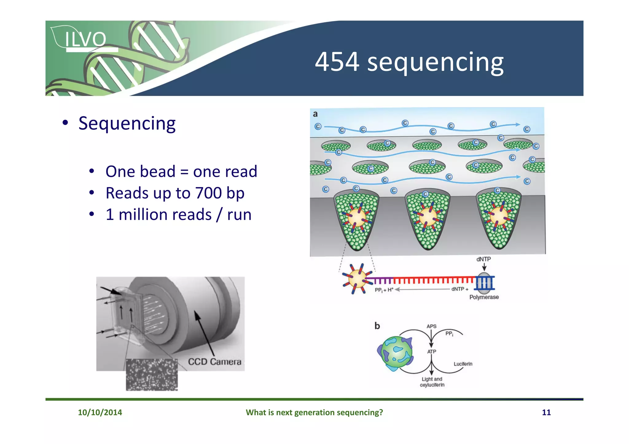 What is next generation sequencing? 11
454 sequencing
• Sequencing
• One bead = one read
• Reads up to 700 bp
• 1 million reads / run
10/10/2014
 