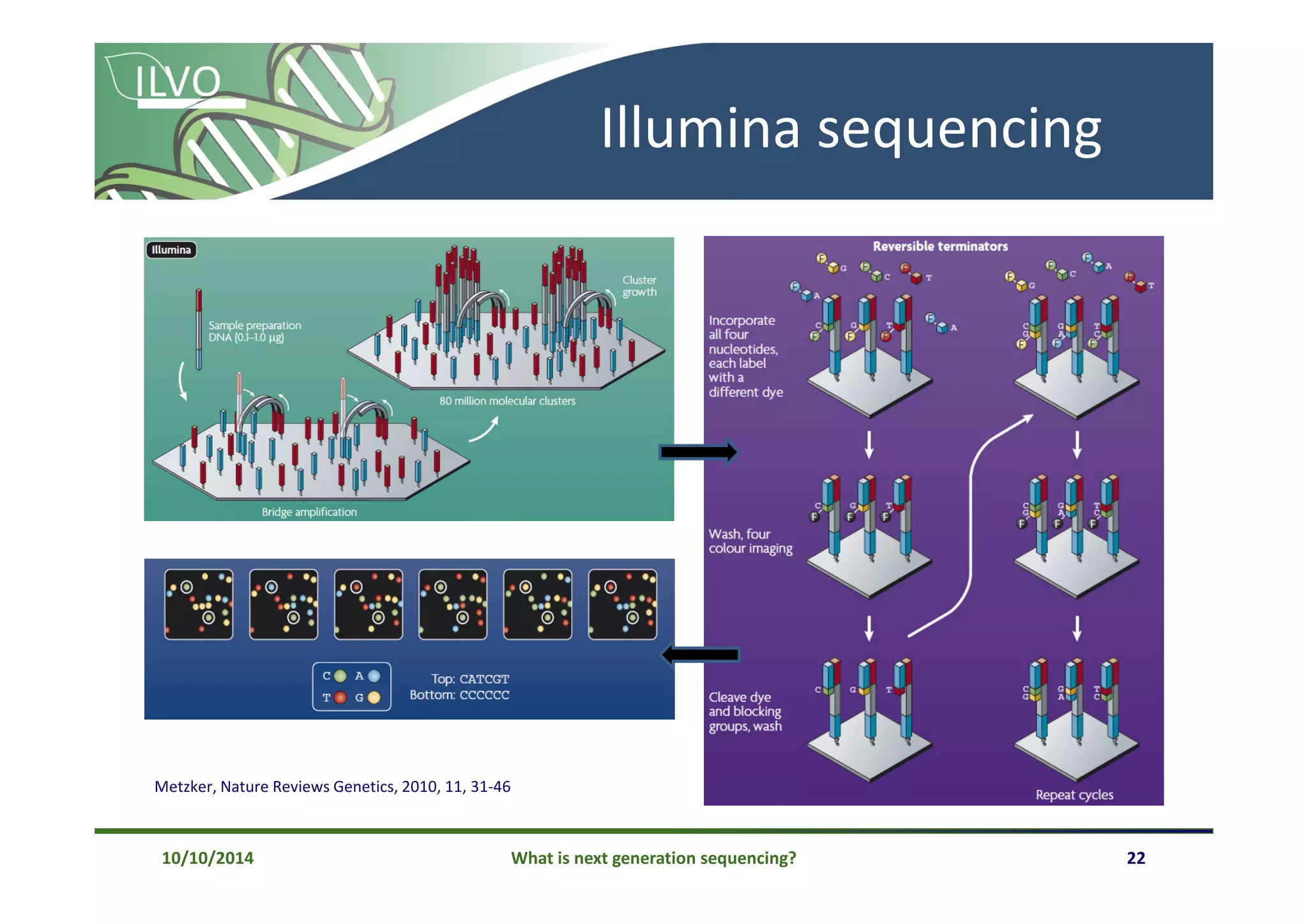 10/10/2014 What is next generation sequencing? 22
Illumina sequencing
Metzker, Nature Reviews Genetics, 2010, 11, 31-46
 