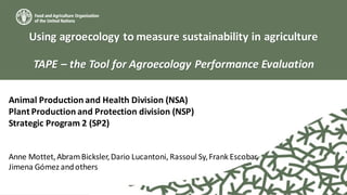 Using agroecology to measure sustainability in agriculture
TAPE – the Tool for Agroecology Performance Evaluation
Animal Production and Health Division (NSA)
Plant Production and Protection division (NSP)
Strategic Program 2 (SP2)
Anne Mottet,AbramBicksler,Dario Lucantoni, Rassoul Sy,Frank Escobar,
Jimena Gómez andothers
 