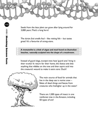 Instead of guard dogs, trumpet trees have ‘guard ants’ living in
their trunks! In return for their home, the Azteca ants bite
anything that nibbles on the tree and then squirt acid into
the creature’s wound to make it extra sore. Ouch!
1001ShockingScienceFacts
112
Seeds from the lotus plant can grow after lying around for
3,000 years.That’s a long lie-in!
The durian fruit smells foul – like rotting fish – but tastes
great! It’s a favourite of orang-utans.
A tromatolite is a blob of algae and mud found on Australian
beaches, naturally sculpted into the shape of a mushroom.
The main source of food for animals that
live in the deep sea is marine snow –
flakes of dead things and faeces from
creatures who livehigher up in the water!
There are 1,500 types of insect in one
rainforest tree in the Amazon, including
50 types of ant!
1001 Science 095-118 Ch4.qxd 16/4/08 17:26 Page 112
 