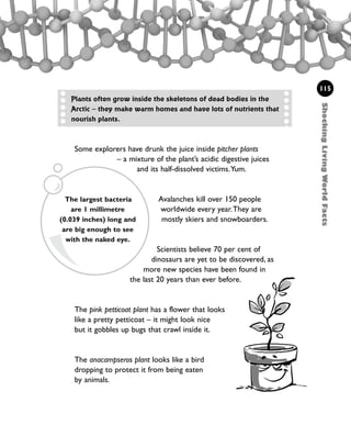 Some explorers have drunk the juice inside pitcher plants
– a mixture of the plant’s acidic digestive juices
and its half-dissolved victims.Yum.
Avalanches kill over 150 people
worldwide every year.They are
mostly skiers and snowboarders.
Scientists believe 70 per cent of
dinosaurs are yet to be discovered, as
more new species have been found in
the last 20 years than ever before.
The pink petticoat plant has a flower that looks
like a pretty petticoat – it might look nice
but it gobbles up bugs that crawl inside it.
The anacampseros plant looks like a bird
dropping to protect it from being eaten
by animals.
115
ShockingLivingWorldFacts
Plants often grow inside the skeletons of dead bodies in the
Arctic – they make warm homes and have lots of nutrients that
nourish plants.
The largest bacteria
are 1 millimetre
(0.039 inches) long and
are big enough to see
with the naked eye.
1001 Science 095-118 Ch4.qxd 16/4/08 17:26 Page 115
 