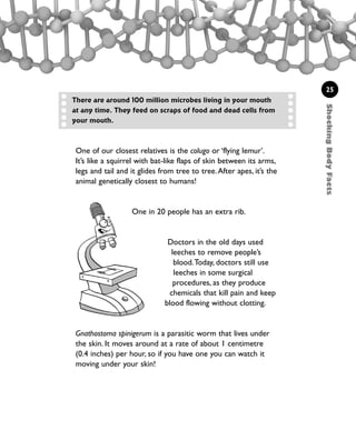 ShockingBodyFacts
25
One of our closest relatives is the colugo or ‘flying lemur’.
It’s like a squirrel with bat-like flaps of skin between its arms,
legs and tail and it glides from tree to tree.After apes, it’s the
animal genetically closest to humans!
One in 20 people has an extra rib.
Doctors in the old days used
leeches to remove people’s
blood.Today, doctors still use
leeches in some surgical
procedures, as they produce
chemicals that kill pain and keep
blood flowing without clotting.
Gnathostoma spinigerum is a parasitic worm that lives under
the skin. It moves around at a rate of about 1 centimetre
(0.4 inches) per hour, so if you have one you can watch it
moving under your skin!
There are around 100 million microbes living in your mouth
at any time. They feed on scraps of food and dead cells from
your mouth.
1001 Science 009-046 Ch1.qxd 16/4/08 17:07 Page 25
 