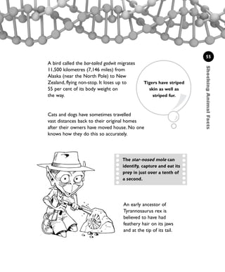 ShockingAnimalFacts
55
A bird called the bar-tailed godwit migrates
11,500 kilometres (7,146 miles) from
Alaska (near the North Pole) to New
Zealand, flying non-stop. It loses up to
55 per cent of its body weight on
the way.
Cats and dogs have sometimes travelled
vast distances back to their original homes
after their owners have moved house. No one
knows how they do this so accurately.
An early ancestor of
Tyrannosaurus rex is
believed to have had
feathery hair on its jaws
and at the tip of its tail.
The star-nosed mole can
identify, capture and eat its
prey in just over a tenth of
a second.
Tigers have striped
skin as well as
striped fur.
1001 Science 047-074 Ch2.qxd 16/4/08 17:13 Page 55
 