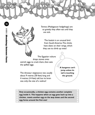 Tenrecs (Madagascan hedgehogs) are
so greedy they often eat until they
are sick.
The hoatzin is an unusual bird
from South America.The chicks
have claws on their wings, which
they use to climb up trees!
The Egyptian vulture
drops stones onto
ostrich eggs to crack them, then eats
the spilled eggs.
The dinosaur stegosaurus was usually
about 9 metres (30 feet) long and
4 metres (14 feet) tall, but its brain
was only the size of a walnut!
56
Very occasionally, a chicken egg contains another complete
egg inside it. This happens when an egg goes back up into a
chicken, meets another egg on the way down and the second
egg forms around the first one!
1001ShockingScienceFacts
A kangaroo can’t
jump unless its
tail is touching
the ground.
1001 Science 047-074 Ch2.qxd 16/4/08 17:13 Page 56
 
