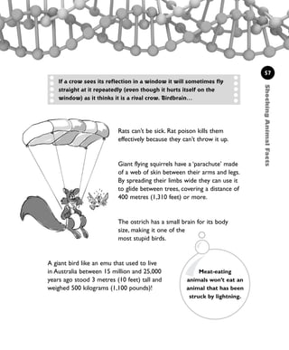 ShockingAnimalFacts
57
If a crow sees its reflection in a window it will sometimes fly
straight at it repeatedly (even though it hurts itself on the
window) as it thinks it is a rival crow. Birdbrain…
A giant bird like an emu that used to live
in Australia between 15 million and 25,000
years ago stood 3 metres (10 feet) tall and
weighed 500 kilograms (1,100 pounds)!
Rats can’t be sick. Rat poison kills them
effectively because they can’t throw it up.
Giant flying squirrels have a ‘parachute’ made
of a web of skin between their arms and legs.
By spreading their limbs wide they can use it
to glide between trees, covering a distance of
400 metres (1,310 feet) or more.
The ostrich has a small brain for its body
size, making it one of the
most stupid birds.
Meat-eating
animals won’t eat an
animal that has been
struck by lightning.
1001 Science 047-074 Ch2.qxd 16/4/08 17:13 Page 57
 