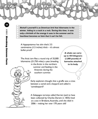 A hippopotamus has skin that’s 3.5
centimetres (1.5 inches) thick – it’s almost
bullet proof!
The Arctic tern flies a round trip of 35,000
kilometres (21,750 miles) a year, breeding
in the Arctic in the northern
summer and feeding in the
Antarctic during the
southern summer.
Early explorers thought that a giraffe was a cross
between a camel and a leopard and called it
‘cameleopard’!
A Galapagos tortoise called Harriet (said to have
been collected by Charles Darwin in 1835) lived
at a zoo in Brisbane,Australia, until she died in
2006 – making her over 170 years old!
58
Nuttall’s poorwill is an American bird that hibernates in the
winter, hiding in a crack in a rock. During this time, it uses
only a thirtieth of the energy it uses in the summer and its
heartbeat becomes so faint that it can’t be felt.
1001ShockingScienceFacts
A whale can carry
up to 454 kilograms
(1,000 pounds) of
barnacles attached
to its body.
1001 Science 047-074 Ch2.qxd 16/4/08 17:13 Page 58
 
