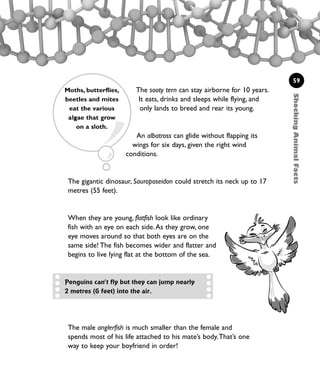 ShockingAnimalFacts
59
The sooty tern can stay airborne for 10 years.
It eats, drinks and sleeps while flying, and
only lands to breed and rear its young.
An albatross can glide without flapping its
wings for six days, given the right wind
conditions.
The gigantic dinosaur, Sauroposeidon could stretch its neck up to 17
metres (55 feet).
When they are young, flatfish look like ordinary
fish with an eye on each side.As they grow, one
eye moves around so that both eyes are on the
same side! The fish becomes wider and flatter and
begins to live lying flat at the bottom of the sea.
Moths, butterflies,
beetles and mites
eat the various
a slgae that grow
on a sloth.
Penguins can’t fly but they can jump nearly
2 metres (6 feet) into the air.
The male anglerfish is much smaller than the female and
spends most of his life attached to his mate’s body.That’s one
way to keep your boyfriend in order!
1001 Science 047-074 Ch2.qxd 16/4/08 17:13 Page 59
 